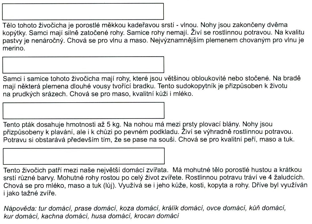 zvířata